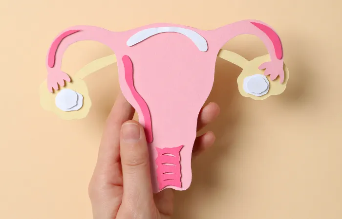 Hormone in den Wechseljahren